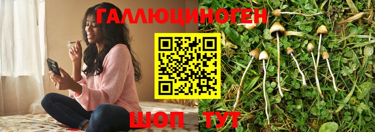 Галлюциногенные грибы прущие грибы  Вход с VPN  Сорочинск 