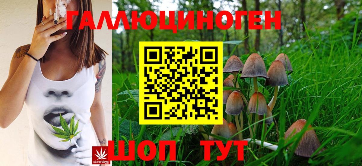 Псилоцибиновые грибы GOLDEN TEACHER Сорочинск